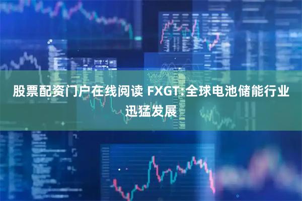 股票配资门户在线阅读 FXGT:全球电池储能行业迅猛发展