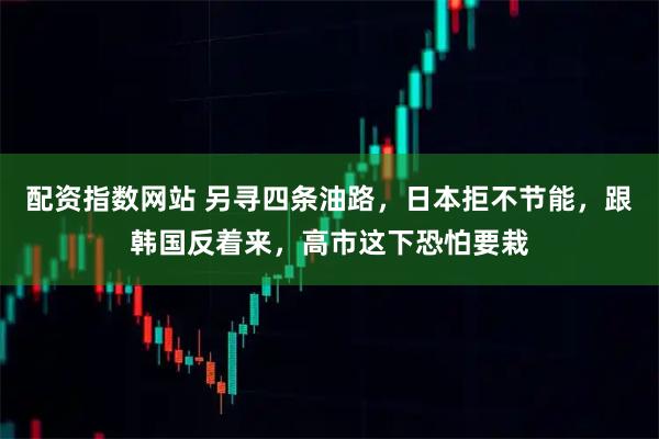 配资指数网站 另寻四条油路，日本拒不节能，跟韩国反着来，高市这下恐怕要栽