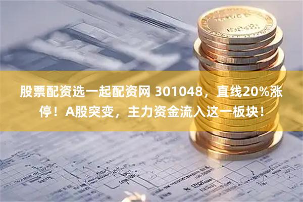 股票配资选一起配资网 301048，直线20%涨停！A股突变，主力资金流入这一板块！